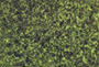 Chemotaxis / Cell Invasion Combo Kits